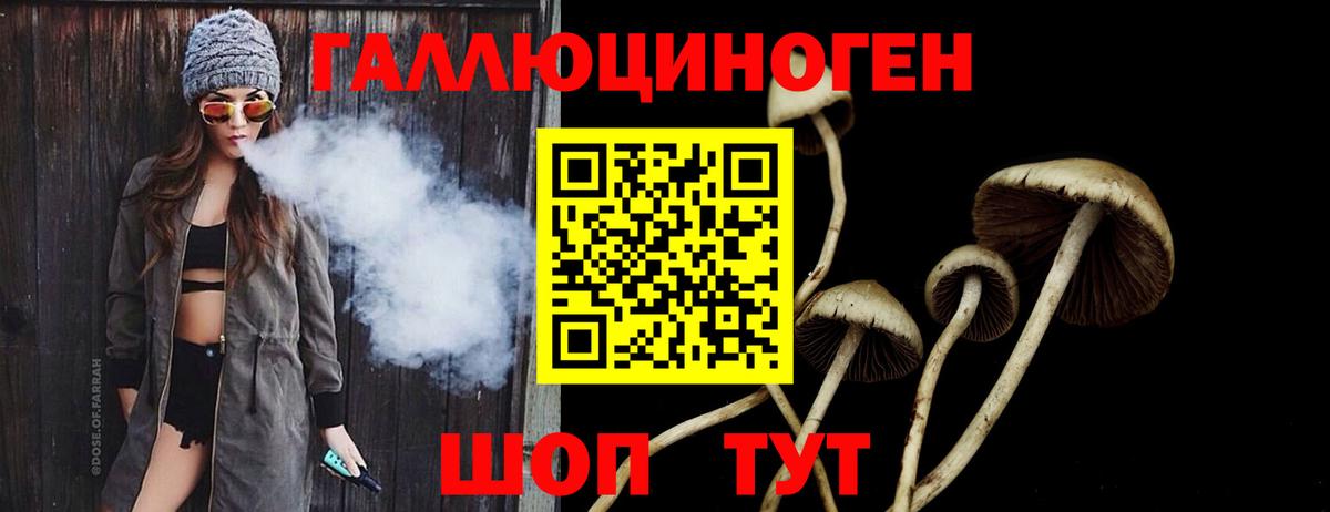 Псилоцибиновые грибы прущие грибы Фрязино